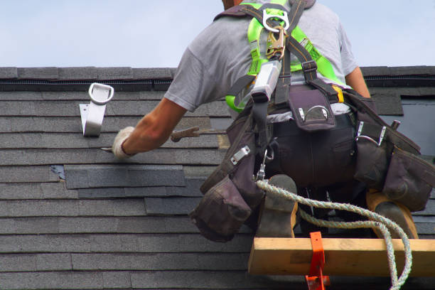 Best Roof Gutter Cleaning  in Chincoteague, VA