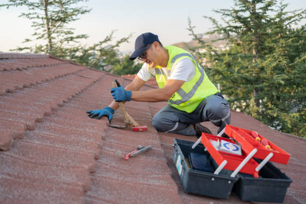 Best Roof Maintenance Services  in Chincoteague, VA