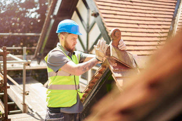 Best Roof Maintenance Services  in Chincoteague, VA