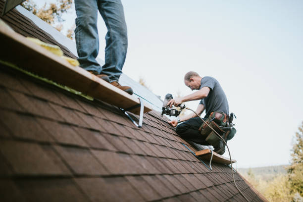 Best Gutter Installation and Roofing  in Chincoteague, VA